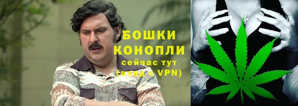 бутират Богданович