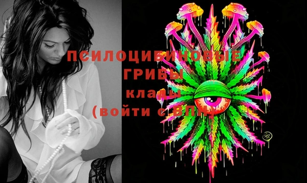 ПСИЛОЦИБИНОВЫЕ ГРИБЫ Богородск