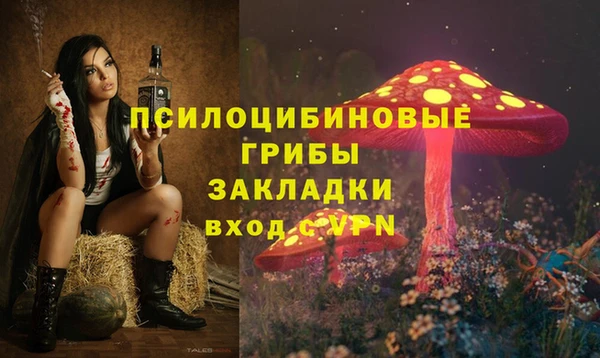 амф Богородицк