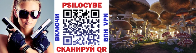 Псилоцибиновые грибы Magic Shrooms  где найти наркотики  Северо-Курильск 