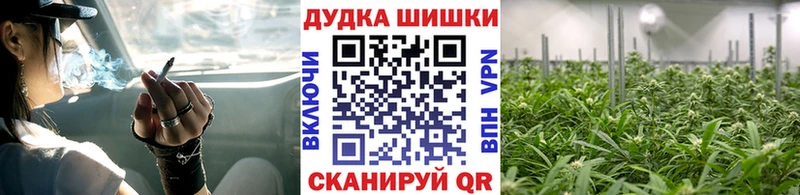 Шишки марихуана Bruce Banner как найти закладки Северо-Курильск